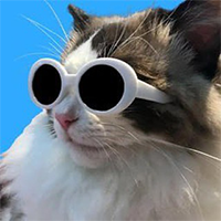 COOLCAT