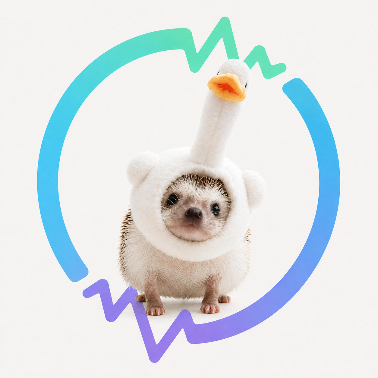 HIF