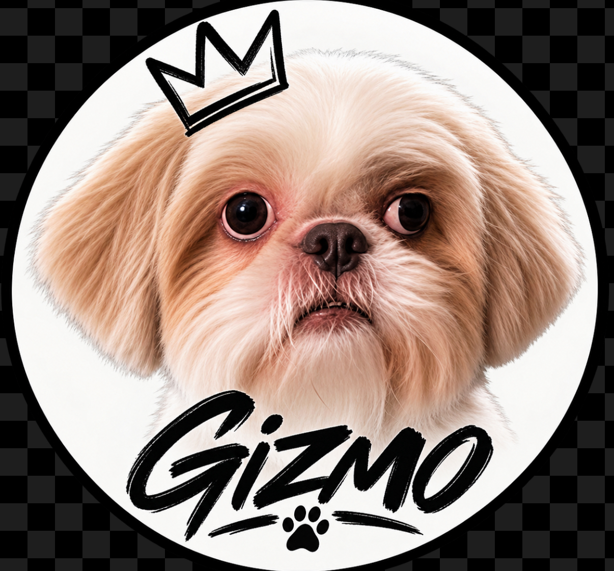 GIZMO